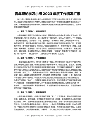 青年理论学习小组2023年度工作情况汇报