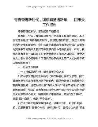 青春奋进新时代，团旗飘扬谱新章 —— 团市委工作报告