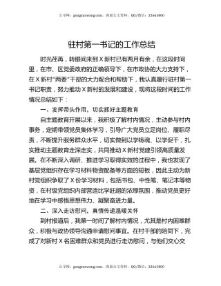 驻村第一书记的工作总结