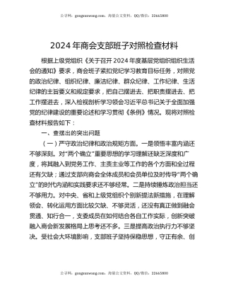 2024年商会支部班子对照检查材料