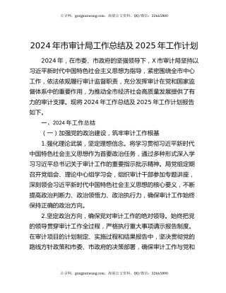 2024年市审计局工作总结及2025年工作计划
