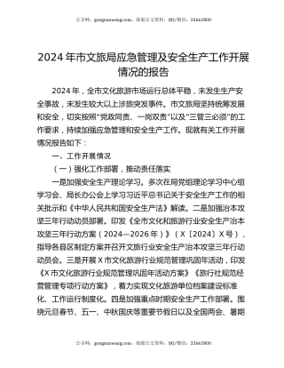 2024年市文旅局应急管理及安全生产工作开展情况的报告