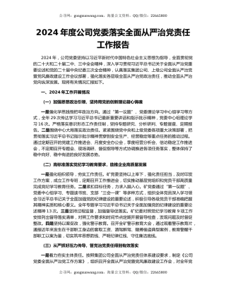 2024年度公司党委落实全面从严治党责任工作报告