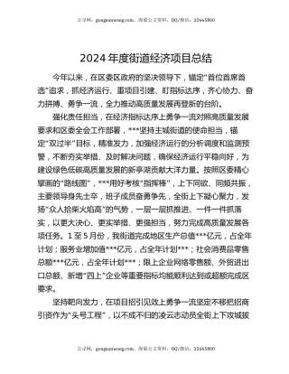 2024年度街道经济项目总结