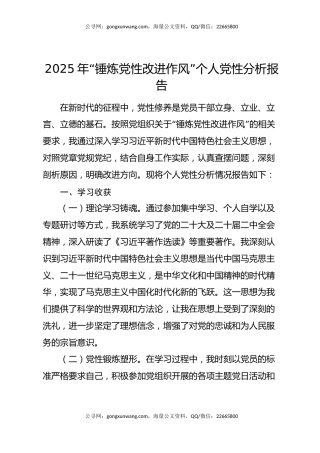 2025年“锤炼党性改进作风”个人党性分析报告