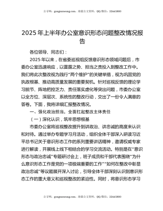 2025年上半年办公室意识形态问题整改情况报告