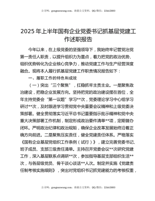 2025年上半年国有企业党委书记抓基层党建工作述职报告