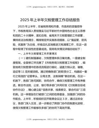 2025年上半年欠税管理工作总结报告