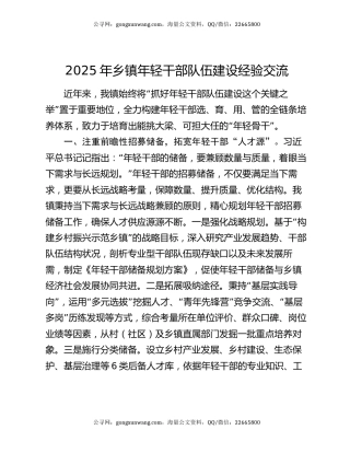 2025年乡镇年轻干部队伍建设经验交流