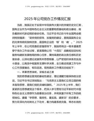 2025年公司党办工作情况汇报