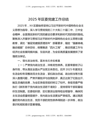 2025年区委党建工作总结
