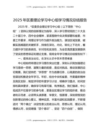 2025年区委理论学习中心组学习情况总结报告
