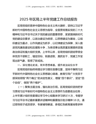 2025年区局上半年党建工作总结报告
