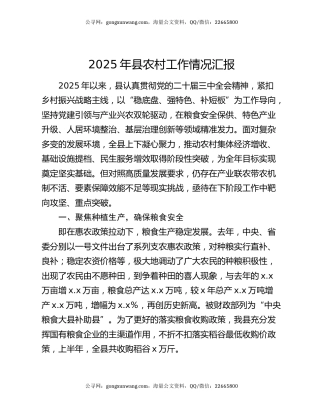 2025年县农村工作情况汇报