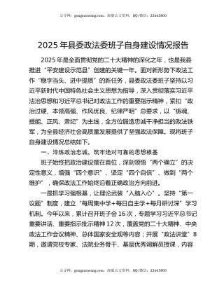 2025年县委政法委班子自身建设情况报告