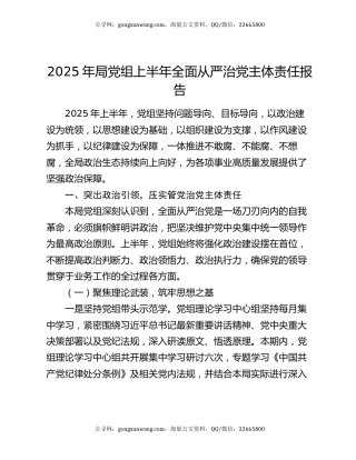 2025年局党组上半年全面从严治党主体责任报告