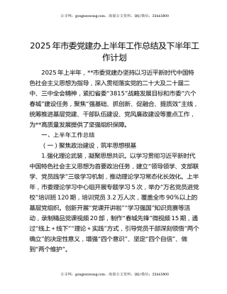 2025年市委党建办上半年工作总结及下半年工作计划