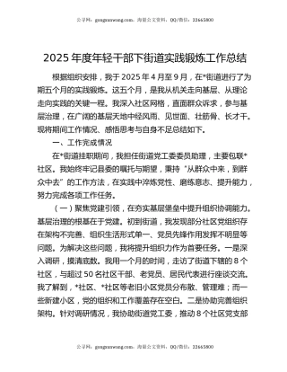 2025年度年轻干部下街道实践锻炼工作总结