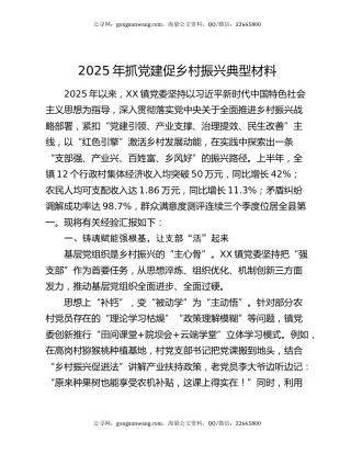 2025年抓党建促乡村振兴典型材料