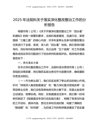 2025年法规科关于落实深化整改整治工作的分析报告