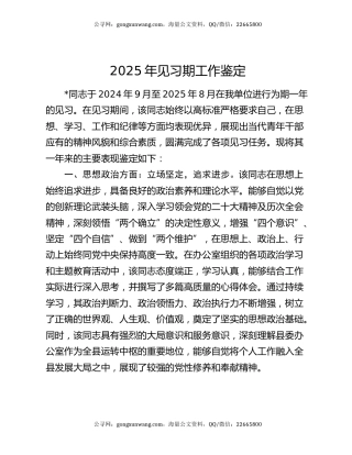 2025年见习期工作鉴定