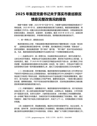 2025年集团党委书记关于落实市委巡察反馈意见整改情况的报告