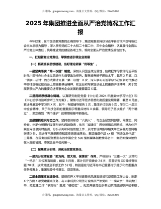 2025年集团推进全面从严治党情况工作汇报