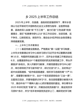 乡2025上半年工作总结