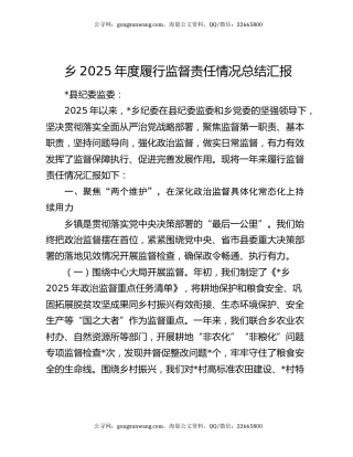 乡2025年度履行监督责任情况总结汇报