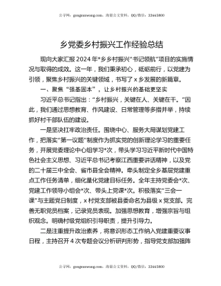 乡党委乡村振兴工作经验总结