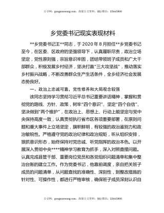 乡党委书记现实表现材料（2）