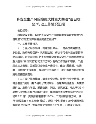 乡安全生产风险隐患大排查大整治“百日攻坚”行动工作情况汇报