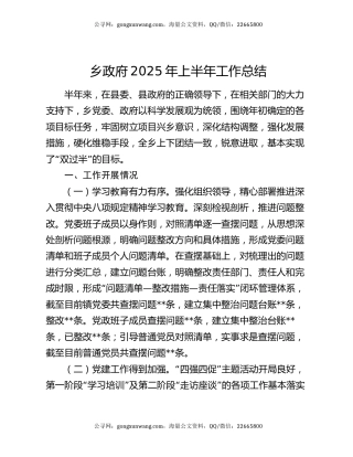 乡政府2025年上半年工作总结