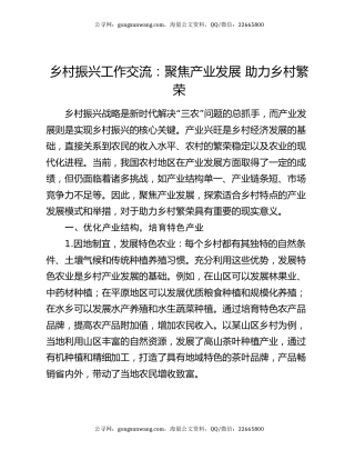 乡村振兴工作交流：聚焦产业发展 助力乡村繁荣