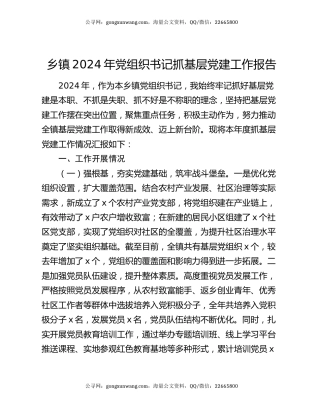 乡镇2024年党组织书记抓基层党建工作报告