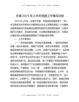 乡镇2025年上半年党建工作情况总结