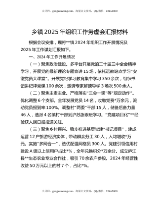 乡镇2025年组织工作务虚会汇报材料