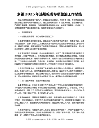 乡镇2025年违规吃喝专项整治工作总结