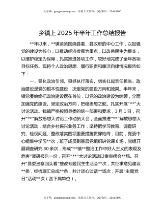 乡镇上2025年半年工作总结报告