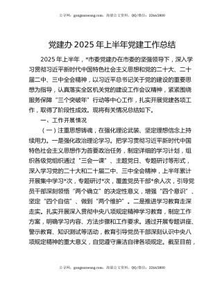 党建办2025年上半年党建工作总结