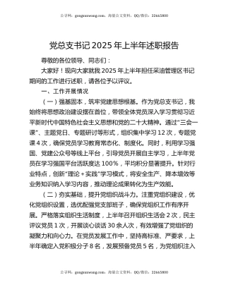 党总支书记2025年上半年述职报告