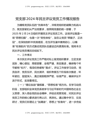 党支部2024年民主评议党员工作情况报告