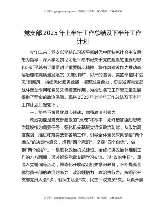 党支部2025年上半年工作总结及下半年工作计划