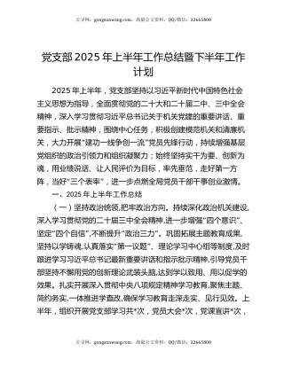 党支部2025年上半年工作总结暨下半年工作计划