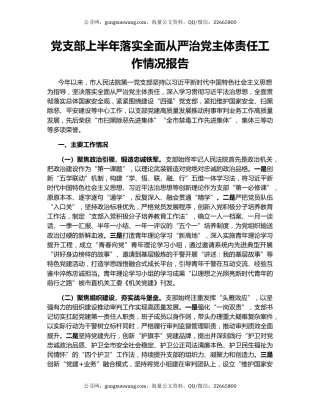 党支部上半年落实全面从严治党主体责任工作情况报告
