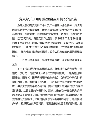 党支部关于组织生活会召开情况的报告