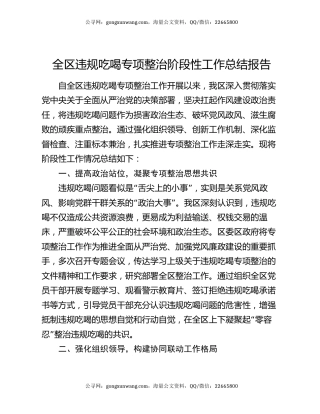 全区违规吃喝专项整治阶段性工作总结报告