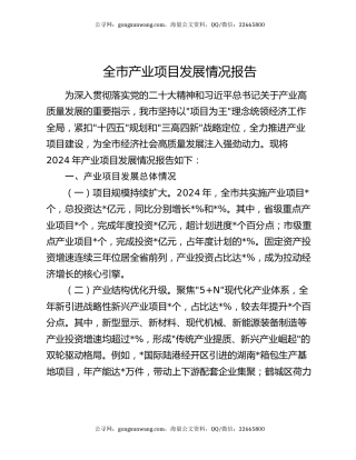 全市产业项目发展情况报告