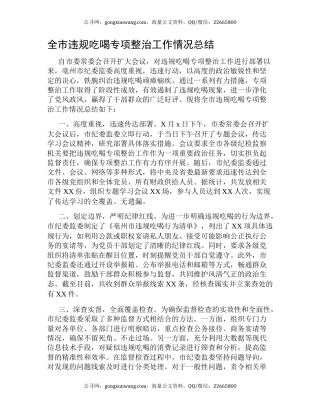 全市违规吃喝专项整治工作情况总结
