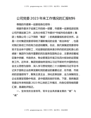 公司党委2023年来工作情况的汇报材料